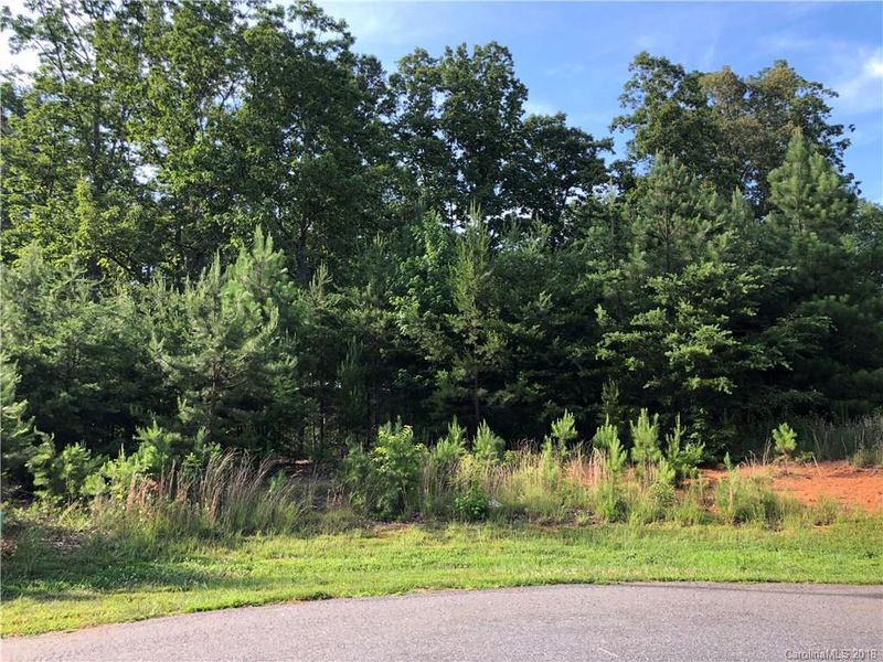 0 Kinks Ln #45, Maiden, NC 28650
