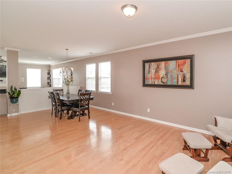 10907 Trout Creek Pl, Davidson, NC 28036