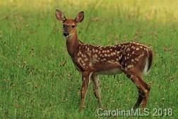 004 Morrison Farm Rd #27, Troutman, NC 28166