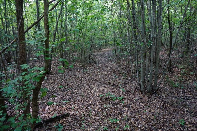 10.3 AC Grandview Rd #3, Clover, SC 29710