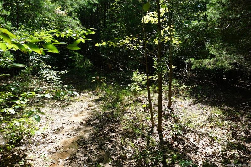 10.3 AC Grandview Rd #3, Clover, SC 29710