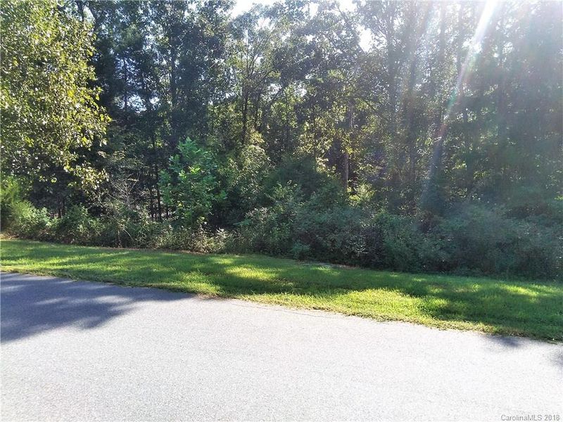 195 Logan Crossing Dr #24, Davidson, NC 28036