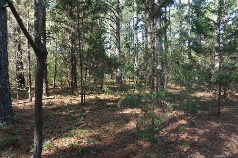 Lot 1 Will Jones Cir #1, Catawba, SC 29704