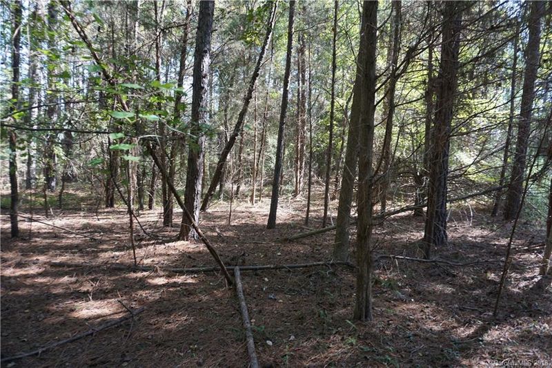 Lot 1 Will Jones Cir #1, Catawba, SC 29704