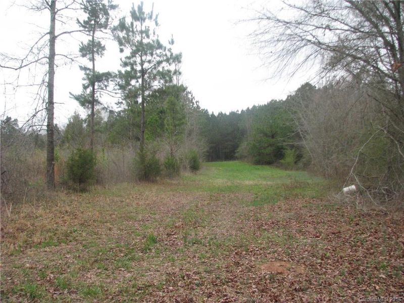 18 Ac Murdock Rd, Richburg, SC 29729