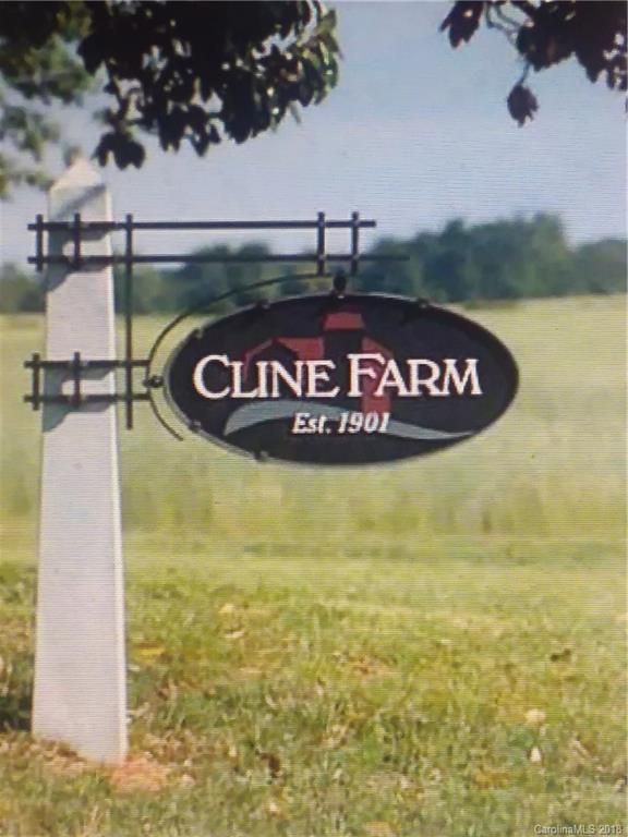 0 Cline Farm Rd #89, Lincolnton, NC 28092
