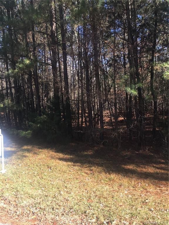 Lot 14 Goblet Rd, Richburg, SC 29729