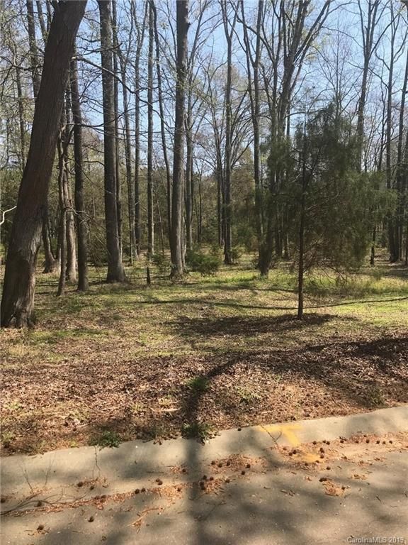 0 Reamoor Dr, Waxhaw, NC 28173