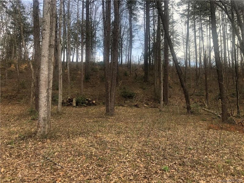 160 Slate Ln #37, Statesville, NC 28625