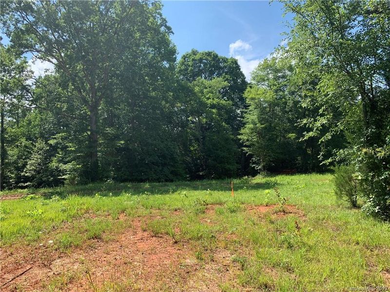 Lot 9 W Rebound Rd #9, Van Wyck, SC 29720