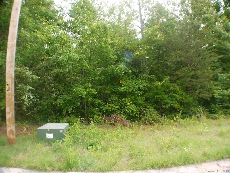 2238 Evergreen Dr #53, Newton, NC 28658