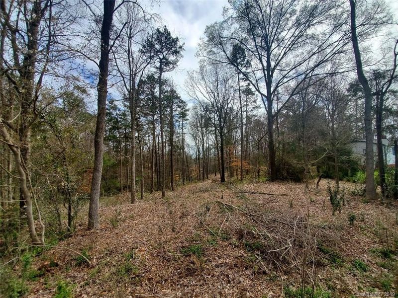 9540 Surface Hill Rd, Mint Hill, NC 28227