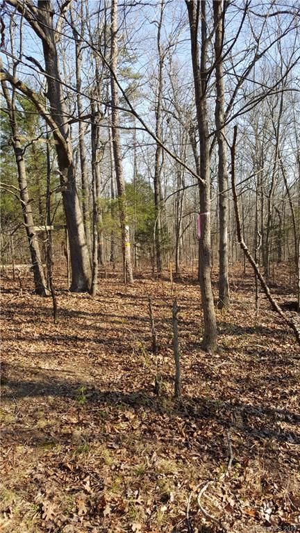 00 E Sandy Ridge Rd, Monroe, NC 28112