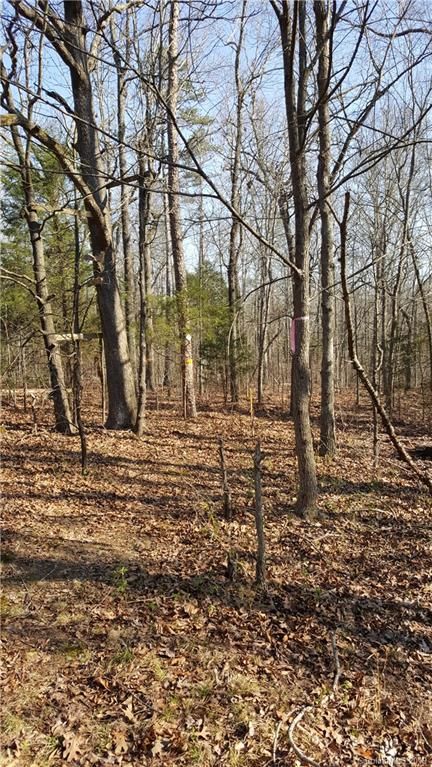 00 E Sandy Ridge Rd, Monroe, NC 28112
