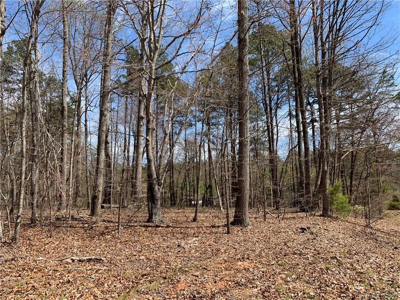 29 Longbranch Rd, Statesville, NC 28677