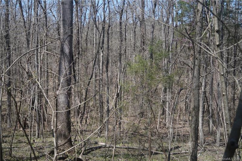00 Broadhurst Ln #1B, York, SC 29745