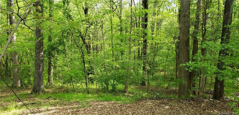 Lot 113 Stallion Ct, Matthews, NC 28104