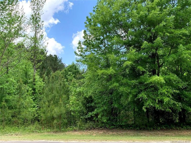 2.19 Acres Ballindam Rd #10, Chester, SC 29706