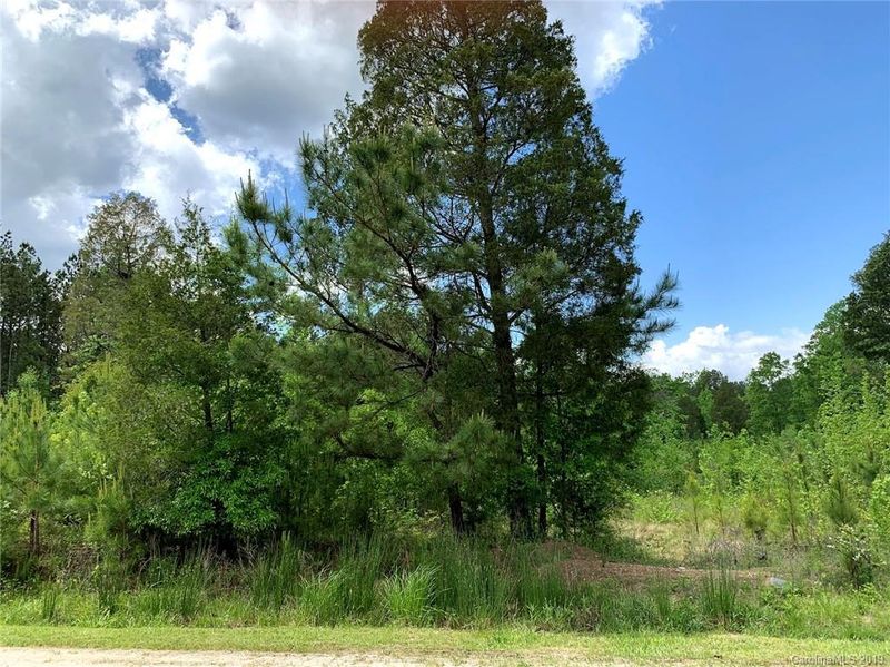 2.23 Acres Ballindam Rd #12, Chester, SC 29706