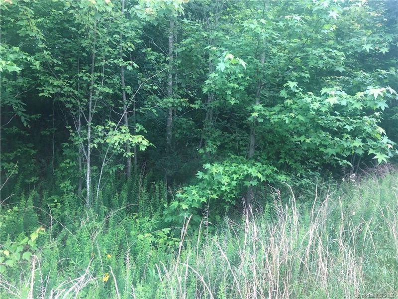 lot 36 Back Acres Ln, Kannapolis, NC 28081
