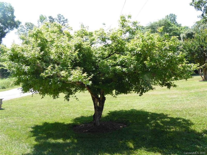 435 Central Ave, Mount Holly, NC 28120