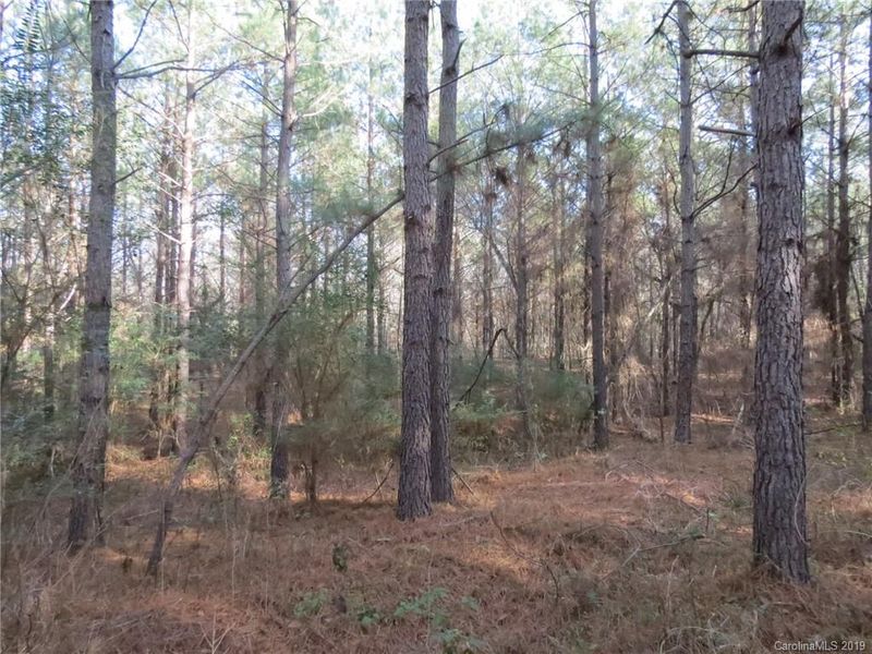 9.9 AC Cameron Rd, Chester, SC 29745