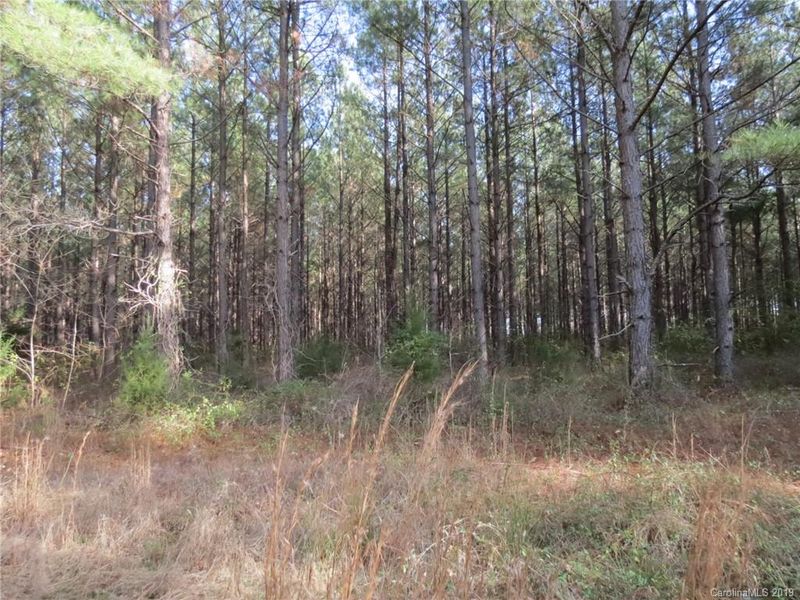 9.9 AC Cameron Rd, Chester, SC 29745