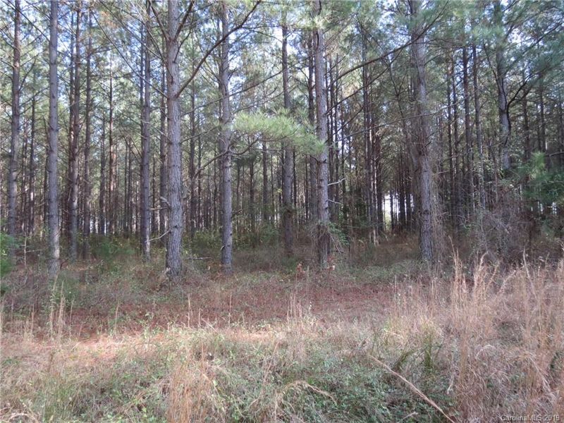 9.9 AC Cameron Rd, Chester, SC 29745