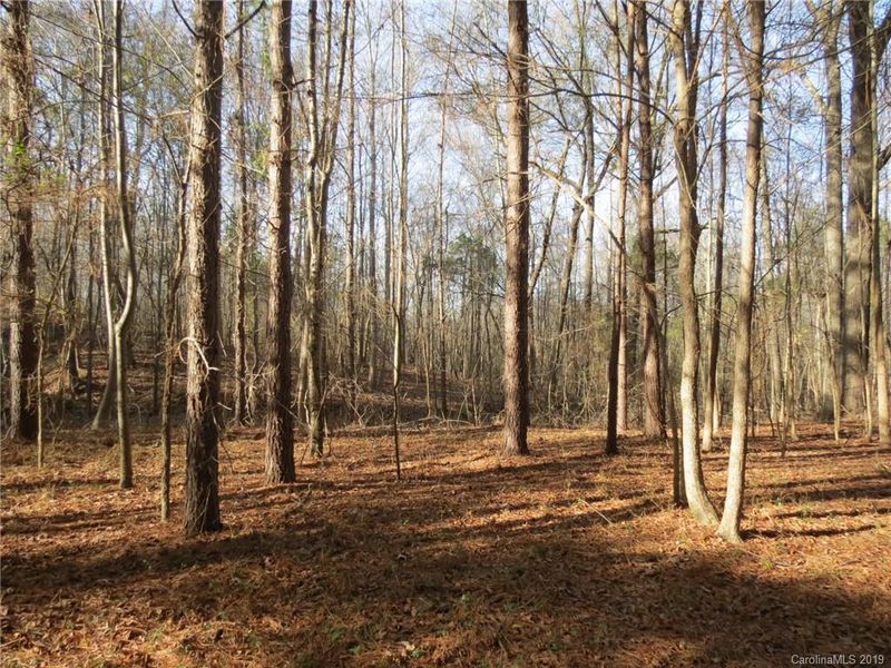 9.9 AC Cameron Rd, Chester, SC 29745