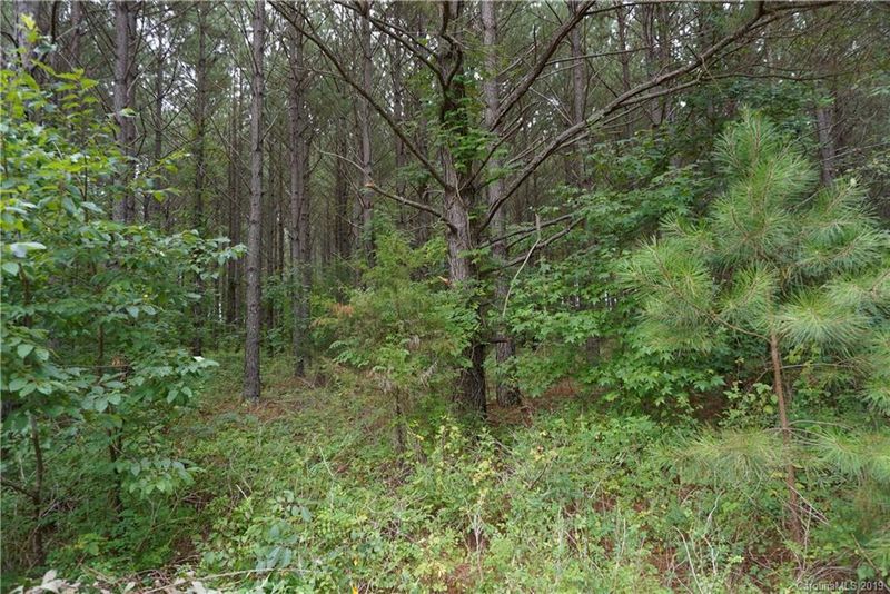 5.4 AC Cameron Rd, Chester, SC 29706