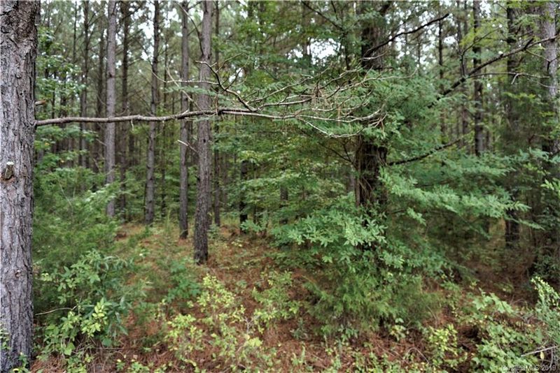 8.4 AC Cameron Rd, Chester, SC 29706