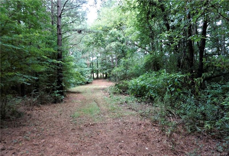 8.4 AC Cameron Rd, Chester, SC 29706