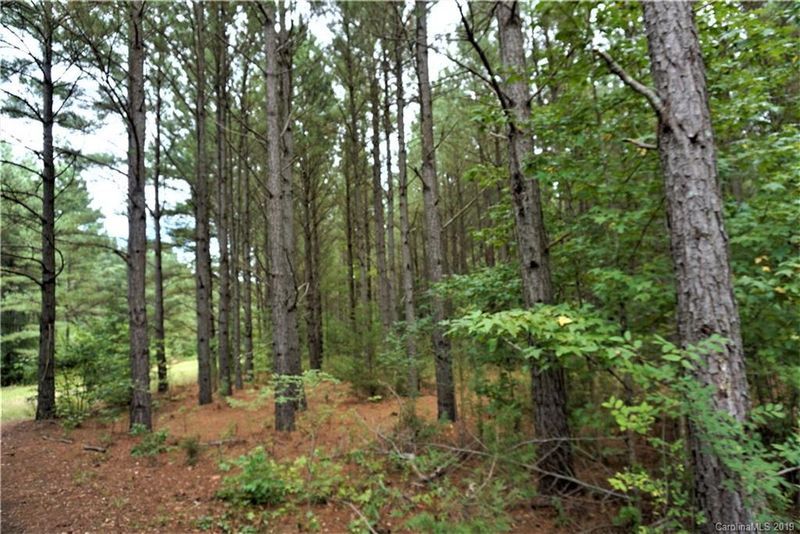 8.4 AC Cameron Rd, Chester, SC 29706