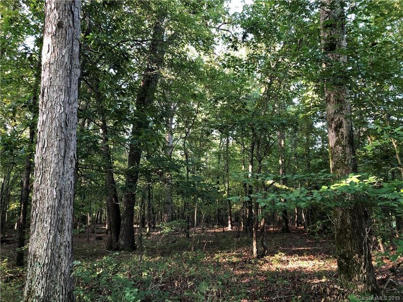 4 Acres Mcneely Rd, Waxhaw, NC 28173