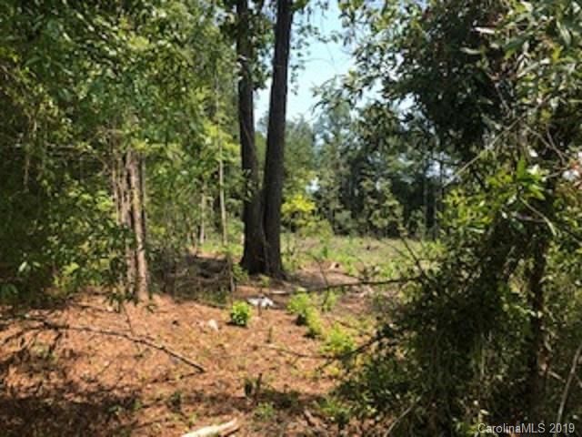 0 Hollow Rd, Chester, SC 29706