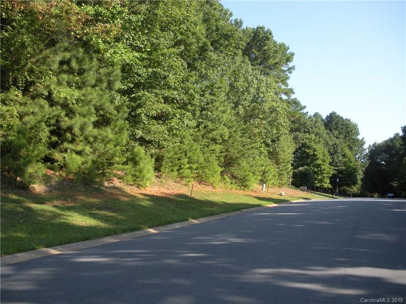 0 Rustling Woods Dr, Denver, NC 28037