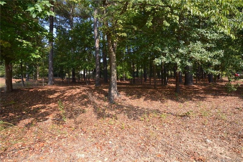 351 Crepe Ridge Dr #351, Denver, NC 28037