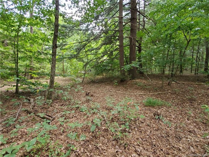 0 E Lackey Farm Rd, Stony Point, NC 28678