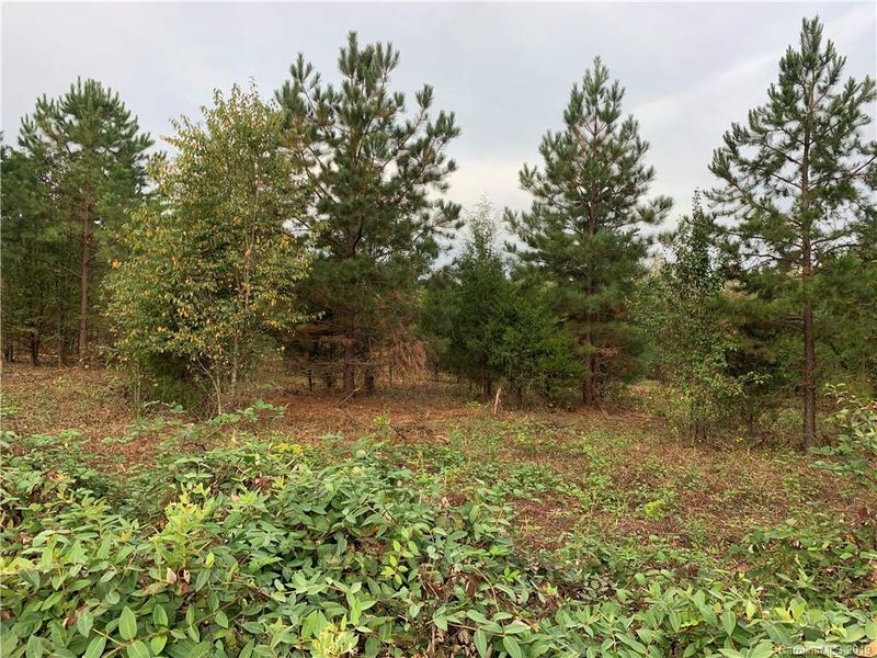 7663 3 Allen Black Rd #3, Mint Hill, NC 28227