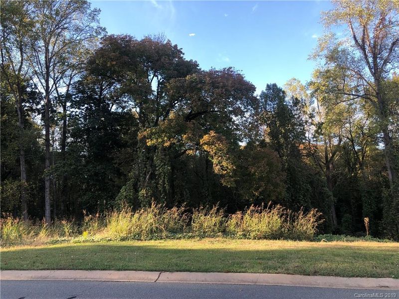 8635 Willhill Rd, Mint Hill, NC 28227