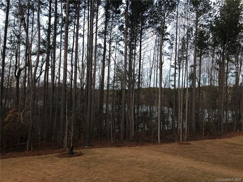 357 Picasso Trl #99, Mount Holly, NC 28120