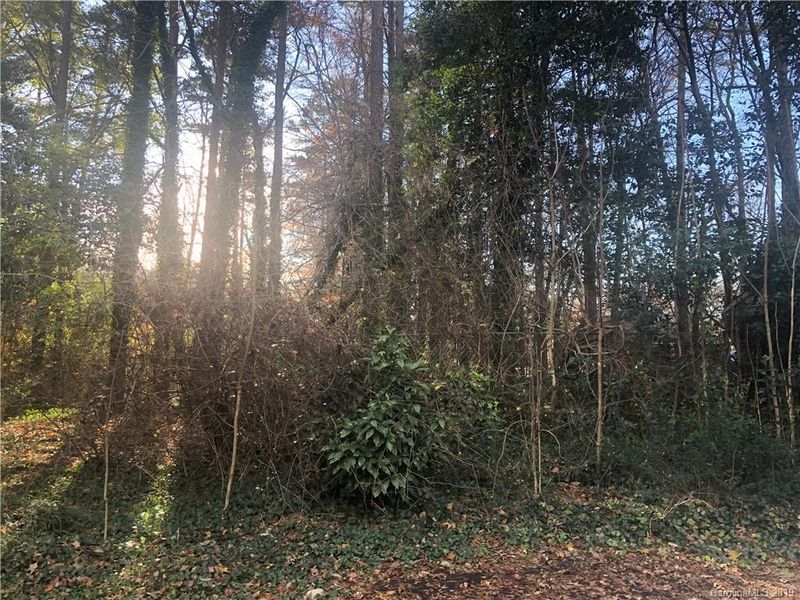 1806 South Point Rd #7, Belmont, NC 28012