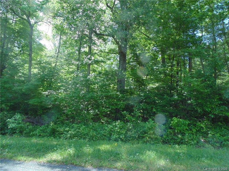 32.92 AC Potter Rd, Waxhaw, NC 28173