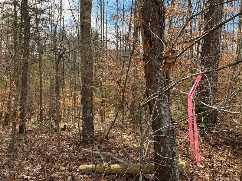 00 Powell Bridge Rd, Harmony, NC 28634