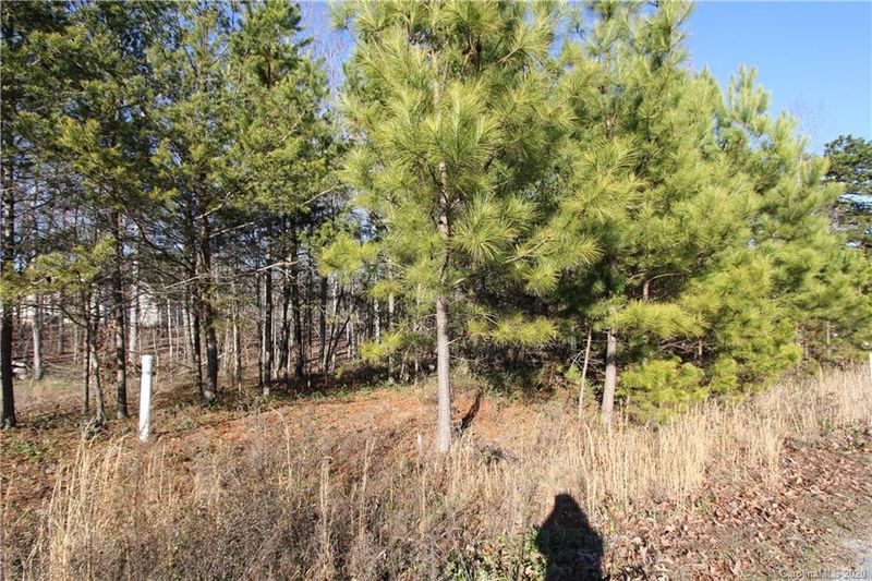 Lot 10 Riverstone Dr #10, Lincolnton, NC 28092