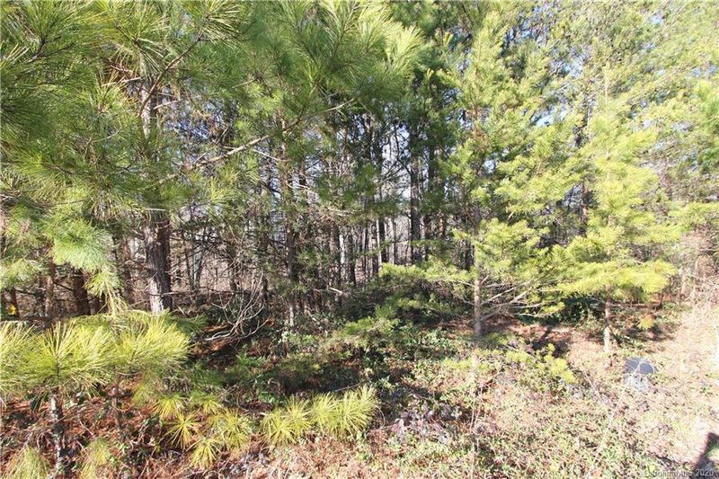 Lot 10 Riverstone Dr #10, Lincolnton, NC 28092
