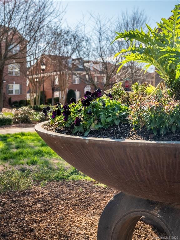 514 Liburdi Ct, Davidson, NC 28036