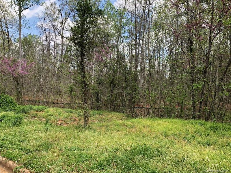 9432 Bales Ln #19, Charlotte, NC 28227