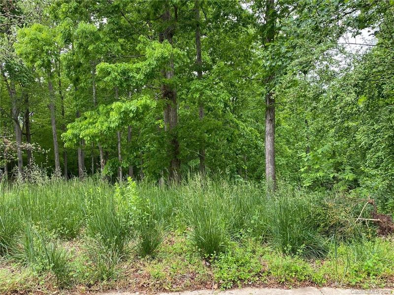 1075 Garibaldi Ridge Ct, Belmont, NC 28012