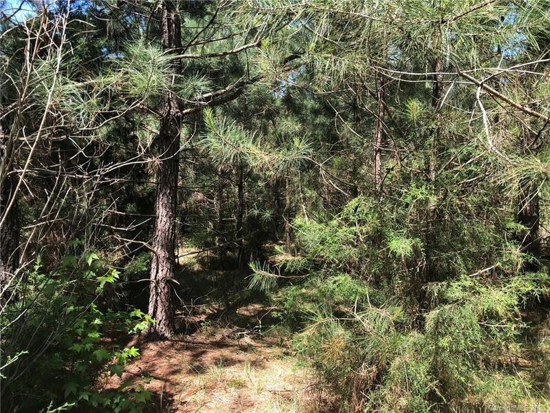 1501 Stinson Rd, Lancaster, SC 29720